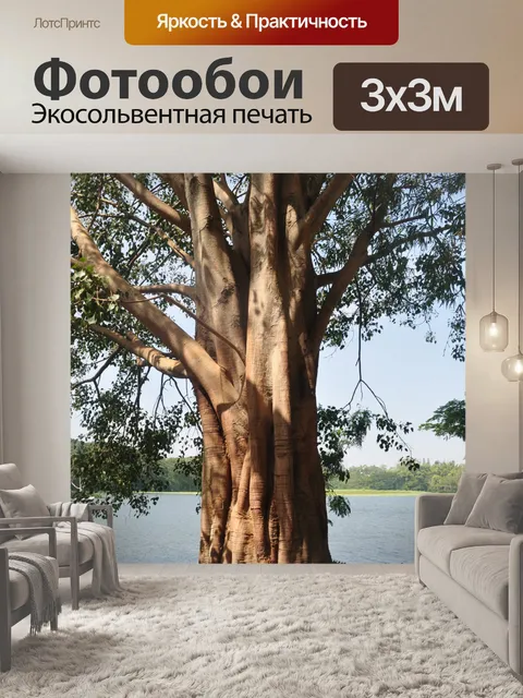 Фотообои Деревья и листья 13