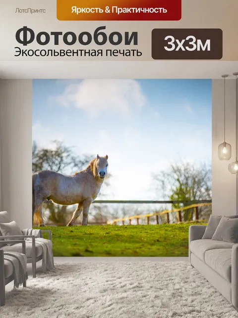 Фотообои лошадь