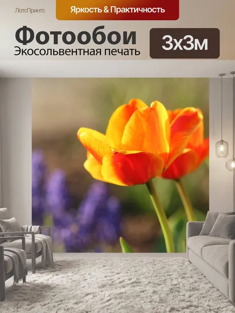 Фотообои Тюльпаны