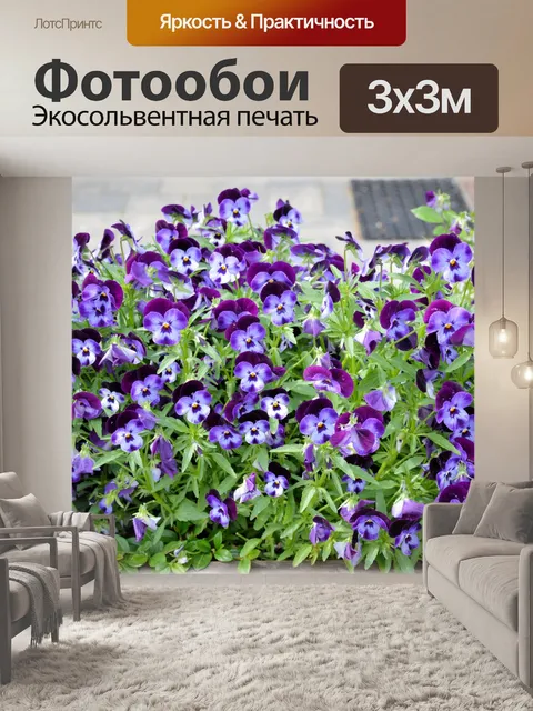 Фотообои Голландские цветы в саду