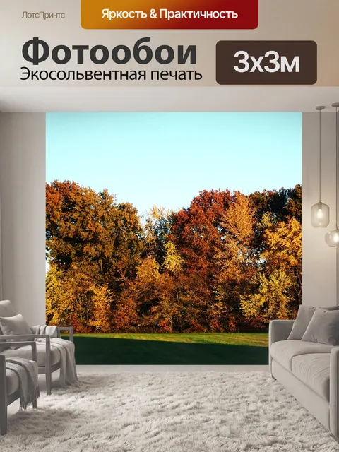 Фотообои Деревья