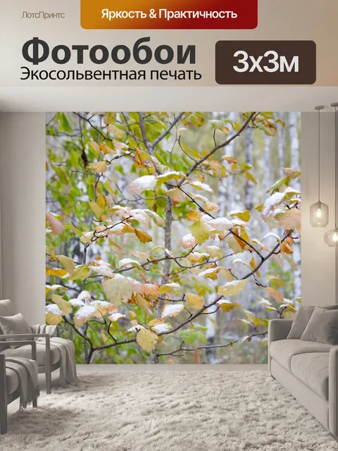 Фотообои Autumn in the forest
