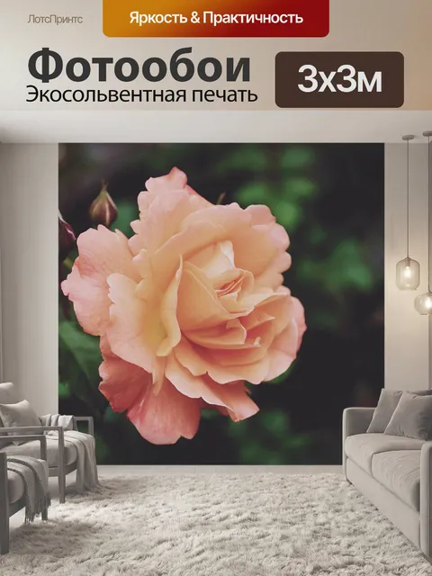 Фотообои Розы