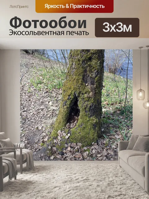 Фотообои Дупло