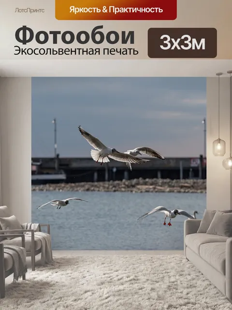 Фотообои Птицы