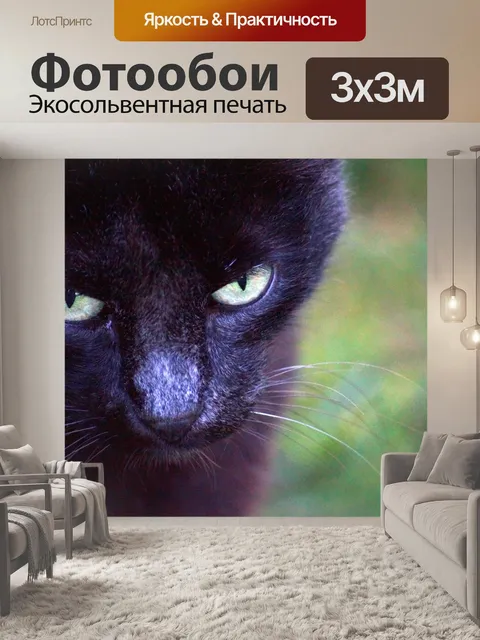 Фотообои Кошка