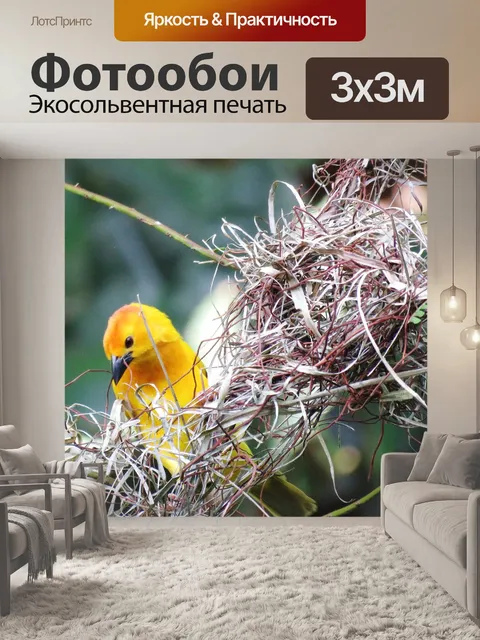 Фотообои Красивая птица