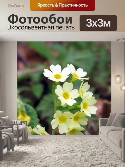 Фотообои Цветок