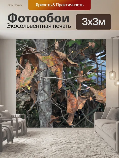 Фотообои Осенние листья на ветвях