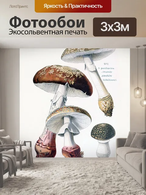 Фотообои Грибы винтаж арт старый