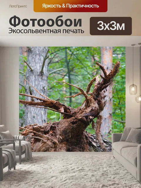Фотообои Лес