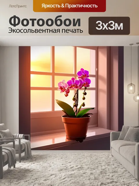 Фотообои закатный свет нежно подсвечивает орхидею, распустившуюся в горшке на подоконнике