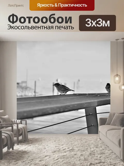 Фотообои Птица