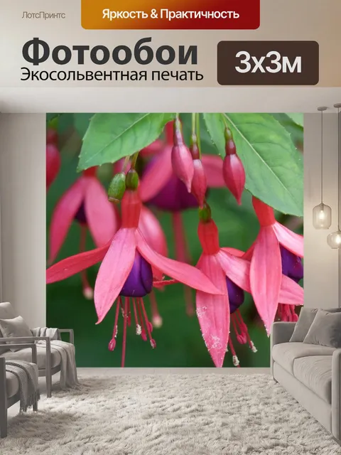 Фотообои Фуксия