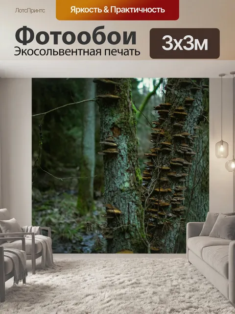 Фотообои Грибы