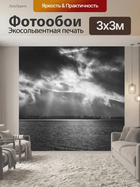 Фотообои Черно-белый