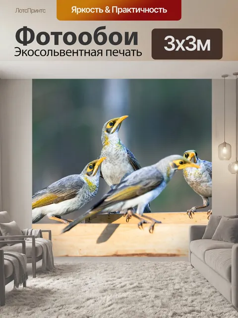 Фотообои Птицы