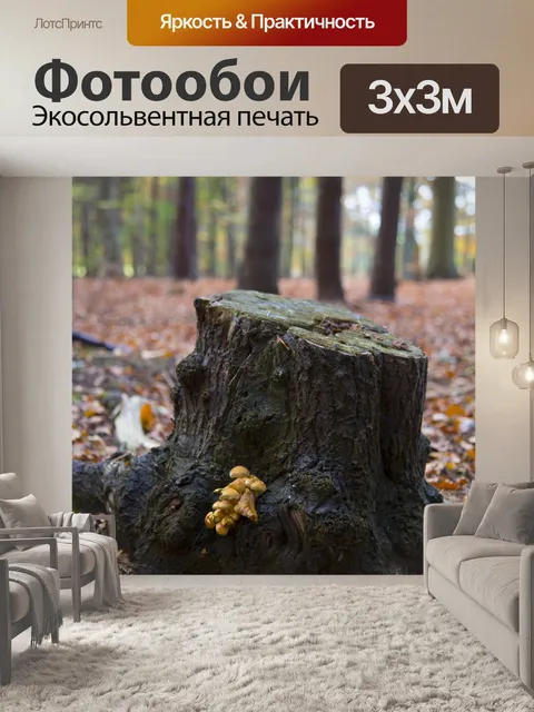 Фотообои Пень