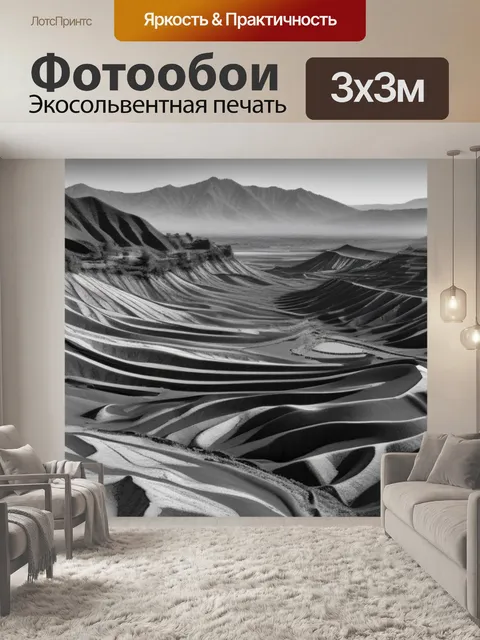 Фотообои пейзаж с рельефом чернобелый