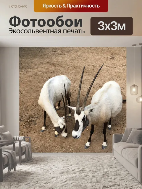 Фотообои Животные