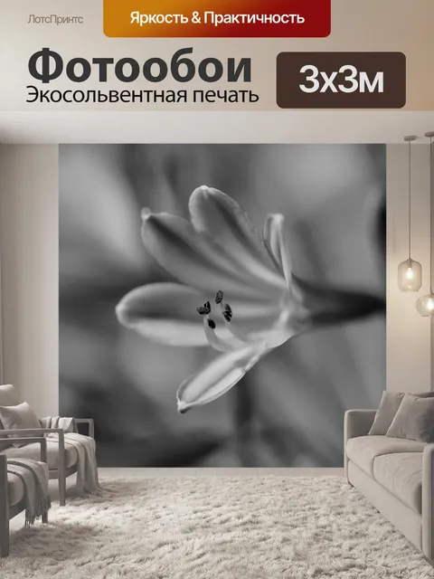 Фотообои Черно-белый