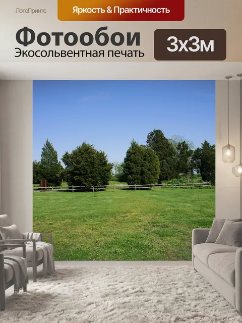 Фотообои Деревья