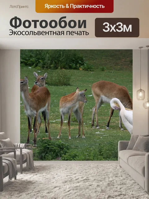 Фотообои Подмышки