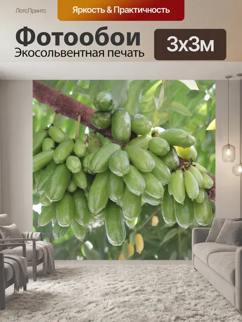 Фотообои Фрукты