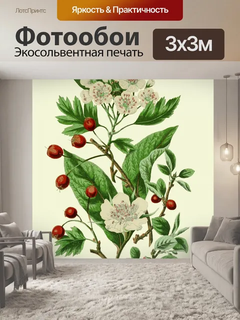 Фотообои Полевые цветы Винтаж ботаническое искусс