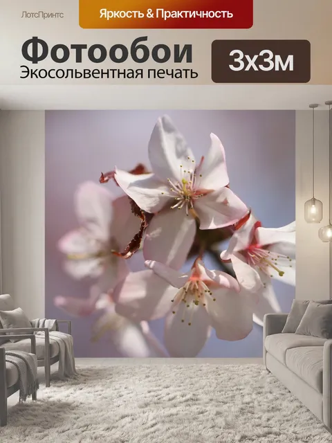 Фотообои Сакура