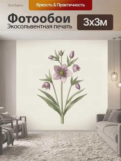Фотообои Ботаническая иллюстрация розового морозника