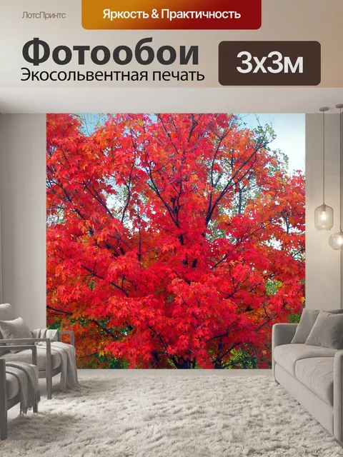 Фотообои Осенние листья