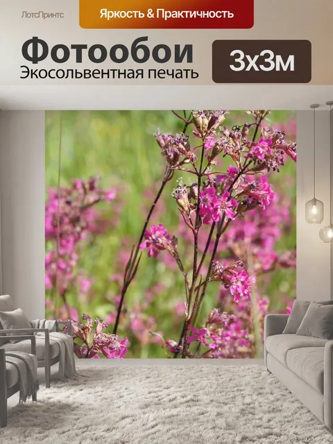 Фотообои Цветок