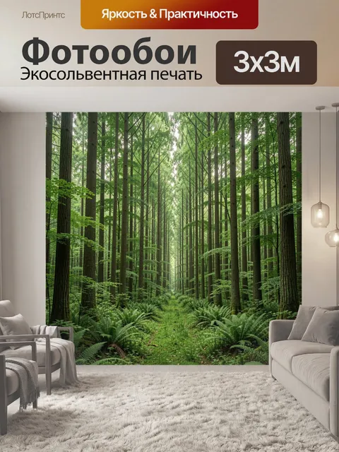 Фотообои Лесная тропа среди папоротников