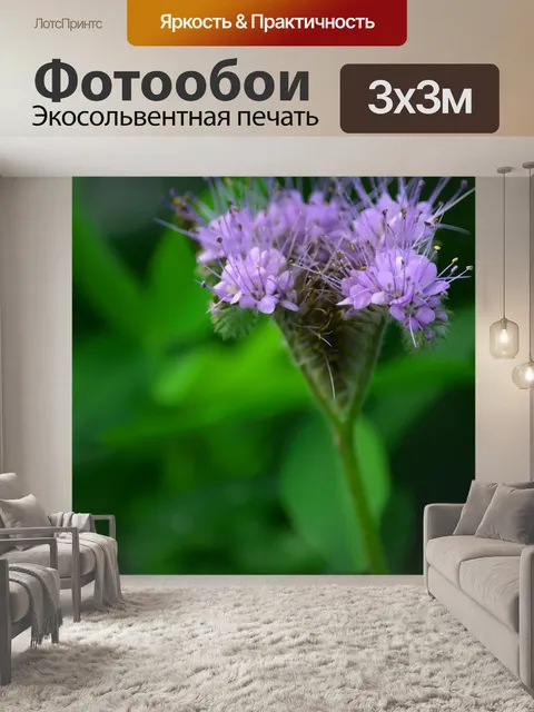 Фотообои Цветок