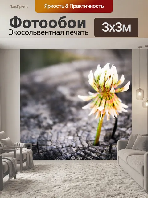 Фотообои Цветок
