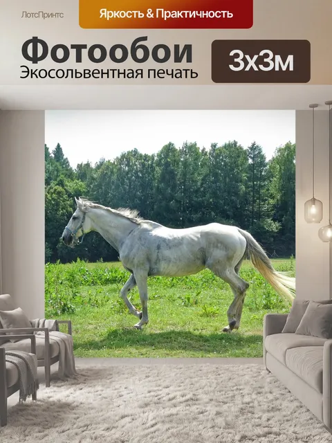 Фотообои Лес