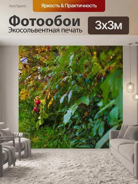 Фотообои Трава