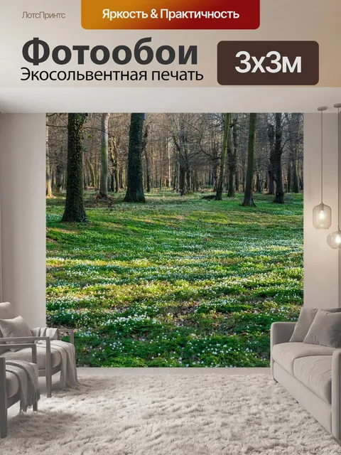 Фотообои Парк