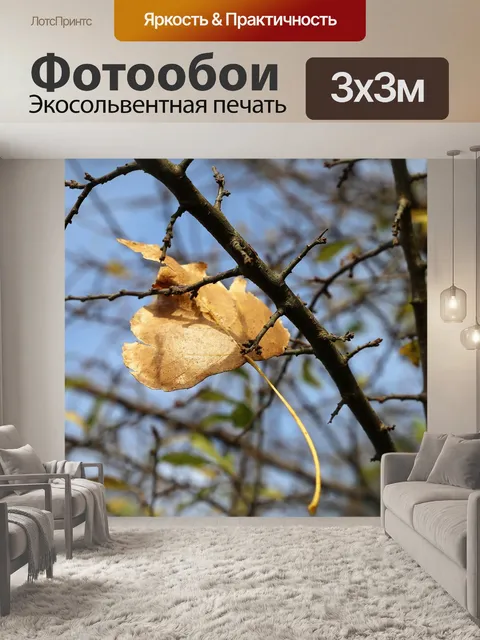 Фотообои Желтый лист