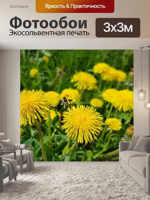 Фотообои Цветы