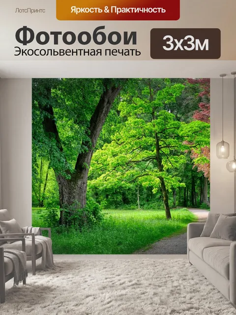 Фотообои Дорожка