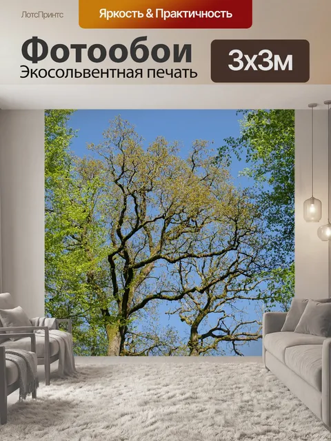 Фотообои Дерево