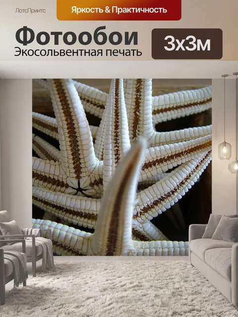 Фотообои Природа