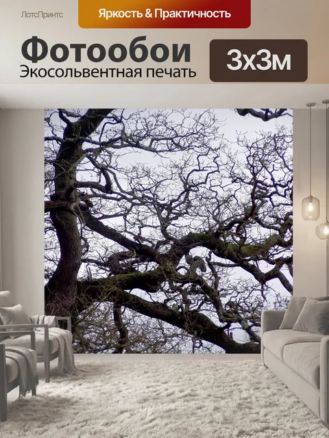 Фотообои Дерево