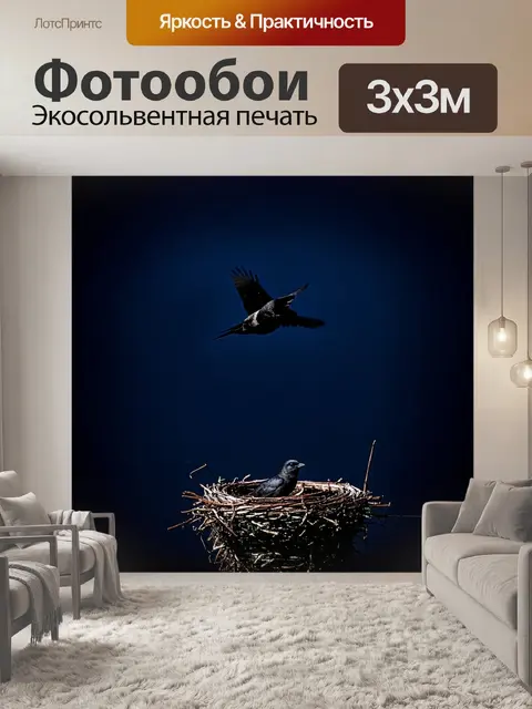 Фотообои динамичная сцена черного дрозда, парящего над гнездом, с использованием техники ночной фотографии