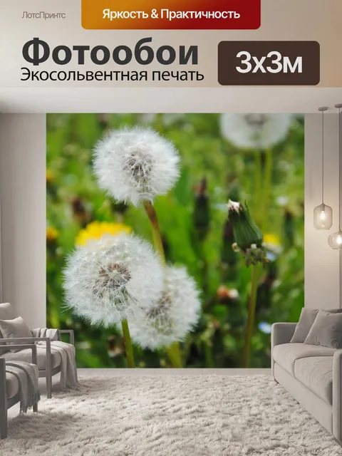 Фотообои Одуванчик