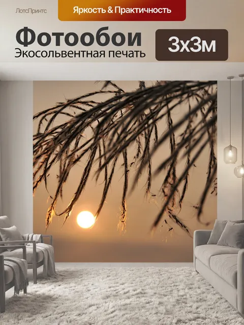 Фотообои Заход солнца