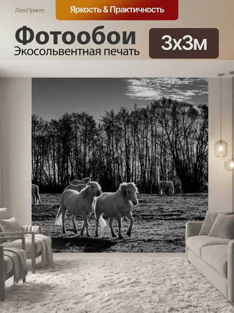 Фотообои Лошадь