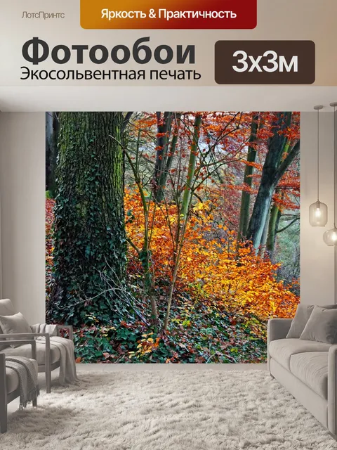 Фотообои Осенний лес дерево пейзаж
